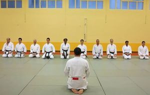 Stage de perfectionnement kata bunkai à Paris 