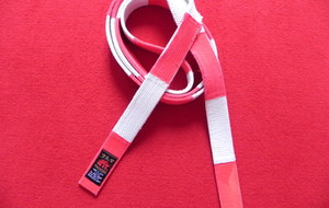 Reprise des cours de karaté à la cour des lions 