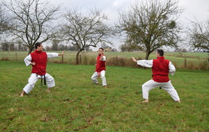 Stage de perfectionnement en campagne décembre 2016 par - 3° dans le Dojo