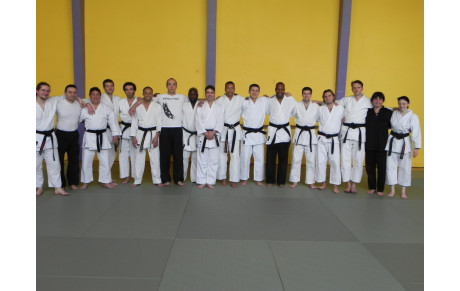 Stage kata bunkai , Gymnase Cour des Lions le  3 mai 2013