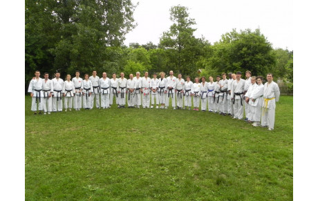 Reprise des cours de karaté au gymnase de la cour des lions le lundi 16 septembre 2013 dès 19h30.