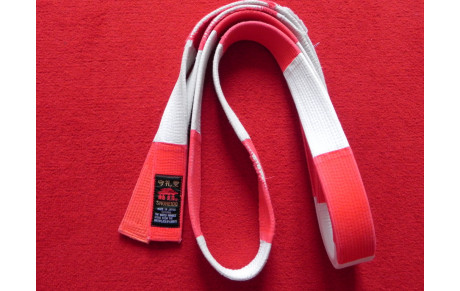 Reprise de l'entrainement le 6 janvier dès 19h30